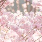 ヒメ日記 2026/03/26 17:54 投稿 えま 出会い系人妻ネットワーク 春日部〜岩槻編