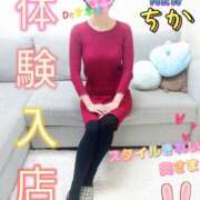 ヒメ日記 2026/02/19 08:50 投稿 新人 ちかｻﾝ De愛急行 栗東インター店