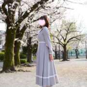 ヒメ日記 2026/03/31 08:15 投稿 るる Noble