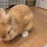 ヒメ日記 2026/09/09 22:35 投稿 るる Noble