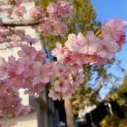 ヒメ日記 2026/02/23 12:32 投稿 みる 新宿・本格コスプレ美人秘書オフィスイメクラ「秘書課女子」