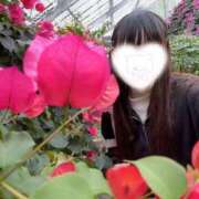 ヒメ日記 2026/03/03 20:27 投稿 みる 新宿・本格コスプレ美人秘書オフィスイメクラ「秘書課女子」