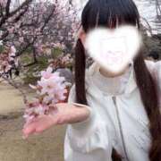 みる 春、堪能🌸 新宿・本格コスプレ美人秘書オフィスイメクラ「秘書課女子」