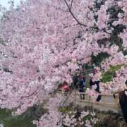 ヒメ日記 2026/04/01 18:03 投稿 みる 新宿・本格コスプレ美人秘書オフィスイメクラ「秘書課女子」