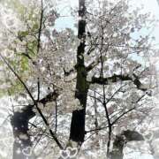 ヒメ日記 2026/04/02 13:27 投稿 澪／みお 五反田アネージュ（ユメオト）