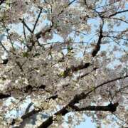 ヒメ日記 2026/04/21 23:09 投稿 澪／みお 五反田アネージュ（ユメオト）