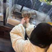 ヒメ日記 2026/04/20 00:21 投稿 このみ 桜色学園