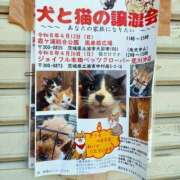 ヒメ日記 2026/04/11 11:30 投稿 つぼね 桜色学園