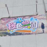 つぼね キャンセル枠のお知らせ 桜色学園