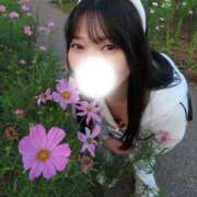 ヒメ日記 2026/10/11 12:06 投稿 たお 桜色学園