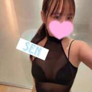 ヒメ日記 2026/03/25 09:21 投稿 せん 桜色学園