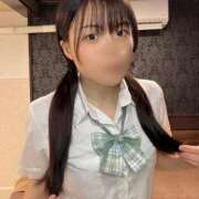 ヒメ日記 2026/03/16 08:02 投稿 ここは 桜色学園