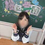 ヒメ日記 2026/05/06 08:21 投稿 ここは 桜色学園
