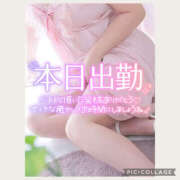 ゆいこ ご予約受付中 One More奥様　町田相模原店