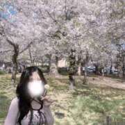 ヒメ日記 2026/04/11 07:02 投稿 りんか 桜色学園