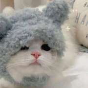 ヒメ日記 2026/04/14 00:41 投稿 りんか 桜色学園