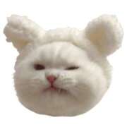 天城ゆな 4/11 T.Wさんへ ニューハーフヘルスSURPRISE ONE日本橋店