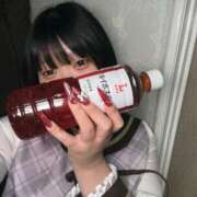 ヒメ日記 2026/02/25 18:02 投稿 おこめ 桜色学園