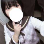 ヒメ日記 2026/02/25 23:59 投稿 おこめ 桜色学園