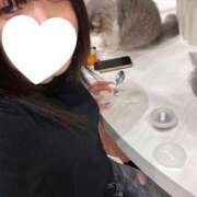 ヒメ日記 2026/04/07 15:53 投稿 おこめ 桜色学園