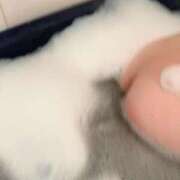 ヒメ日記 2026/04/19 19:02 投稿 せいな 桜色学園