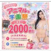 ヒメ日記 2026/08/29 21:26 投稿 せいな 桜色学園