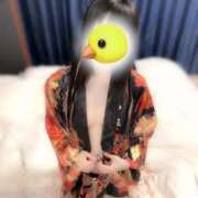 ヒメ日記 2026/02/25 19:49 投稿 ありす 大牟田デリヘル倶楽部