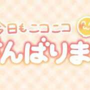 ヒメ日記 2026/03/08 17:05 投稿 のあ 尼妻（あまづま）