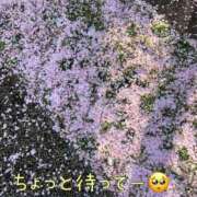 ヒメ日記 2026/04/03 09:06 投稿 ゆめの あなたの願望即！叶えます～本格的夜這い痴漢専門店～