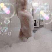 ヒメ日記 2026/02/23 20:04 投稿 薫（かおる） 丸妻 錦糸町店