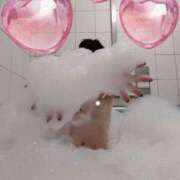 ヒメ日記 2026/02/24 10:06 投稿 薫（かおる） 丸妻 錦糸町店