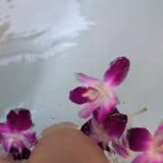 ヒメ日記 2026/03/09 12:12 投稿 薫（かおる） 丸妻 錦糸町店