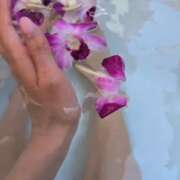 ヒメ日記 2026/03/22 08:13 投稿 薫（かおる） 丸妻 錦糸町店