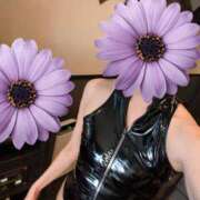 ヒメ日記 2026/03/25 12:12 投稿 薫（かおる） 丸妻 錦糸町店