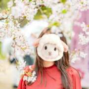 ヒメ日記 2026/04/06 19:14 投稿 薫（かおる） 丸妻 錦糸町店