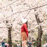 ヒメ日記 2026/04/13 23:11 投稿 薫（かおる） 丸妻 錦糸町店