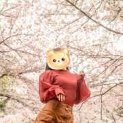 ヒメ日記 2026/04/15 07:11 投稿 薫（かおる） 丸妻 錦糸町店