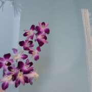 ヒメ日記 2026/04/28 07:14 投稿 薫（かおる） 丸妻 錦糸町店