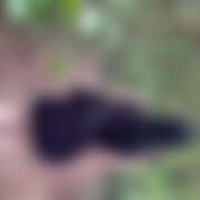 ヒメ日記 2026/09/13 11:59 投稿 うい 東京リップ 秋葉原店