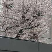 ヒメ日記 2026/03/30 09:31 投稿 こう 脱がされたい人妻 町田・相模原店