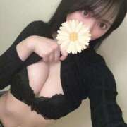 ヒメ日記 2026/04/12 20:55 投稿 みり S級ルックスにFカップ巨乳 ウエスト・コム