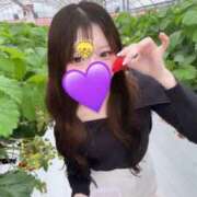 ヒメ日記 2026/02/21 08:08 投稿 ☆らむ☆ ◆プラウディア◆AAA級素人娘在籍店