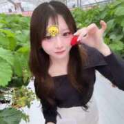 ヒメ日記 2026/02/25 10:08 投稿 ☆らむ☆ ◆プラウディア◆AAA級素人娘在籍店