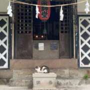 白鳥いおり 3大欲求を満たしたKさん?? 華椿