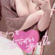 ヒメ日記 2026/02/23 02:16 投稿 なの ぽちゃカワ女子専門店宇都宮店