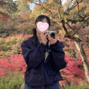 星崎せいか 📸趣味📸 ウルトラハピネス