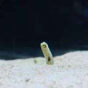 ヒメ日記 2026/03/06 04:20 投稿 ことは One More奥様 大宮店