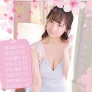 ヒメ日記 2026/04/13 19:57 投稿 みわ ハピネス東京