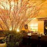 ヒメ日記 2026/03/06 22:00 投稿 れいら ふぞろいの人妻たち