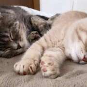 ヒメ日記 2026/03/30 08:28 投稿 れいら ふぞろいの人妻たち